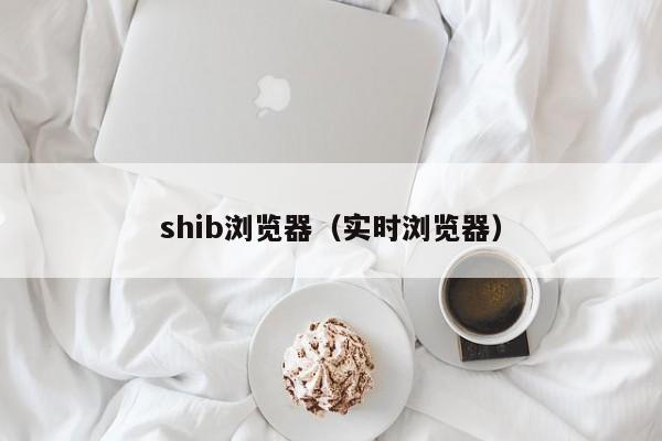shib浏览器（实时浏览器）
