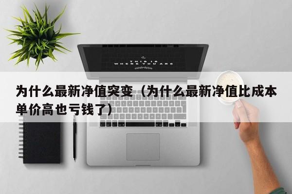 为什么最新净值突变（为什么最新净值比成本单价高也亏钱了）