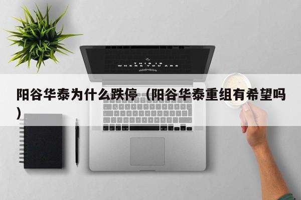 阳谷华泰为什么跌停（阳谷华泰重组有希望吗）