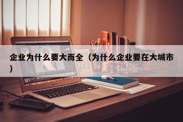 企业为什么要大而全（为什么企业要在大城市）